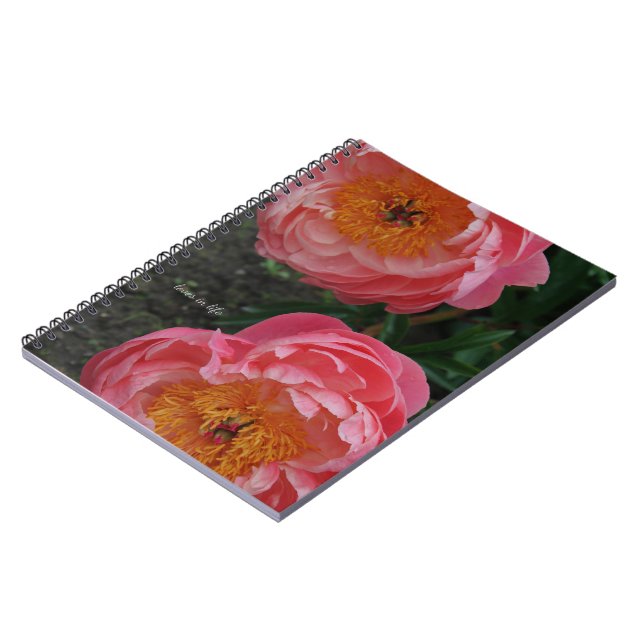 Cuaderno Dos bellas melodías rosas (Lado Izquierdo)