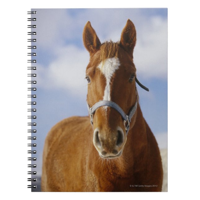 Cuaderno Dos caballos (Frente)