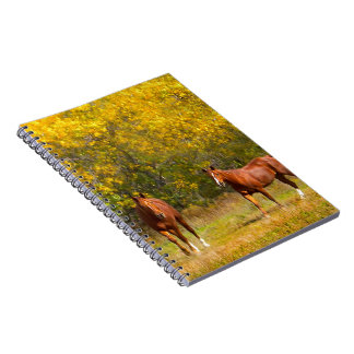 Cuaderno Dos caballos en caída