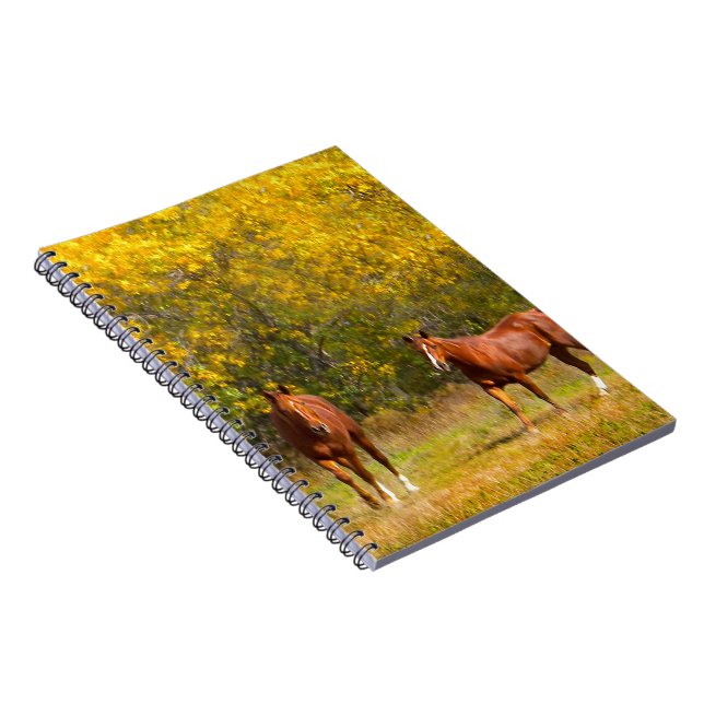 Cuaderno Dos caballos en caída (Lado Derecho)