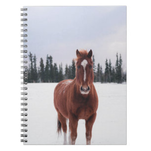 CUADERNO DOS CABALLOS EN NIEVE