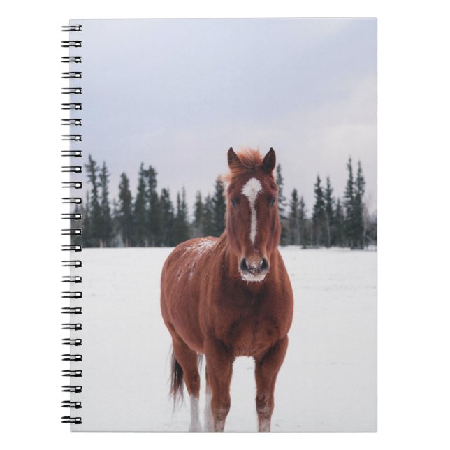 CUADERNO DOS CABALLOS EN NIEVE (Frente)