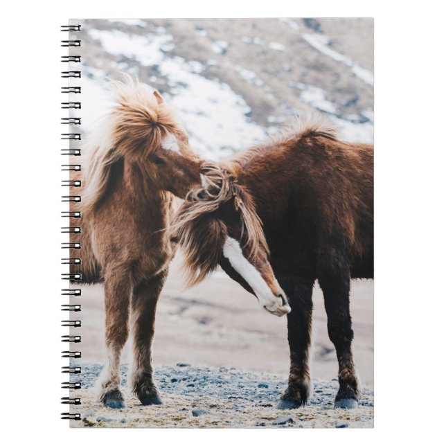 CUADERNO DOS CABALLOS MARRONES EN EL CAMPO (Frente)