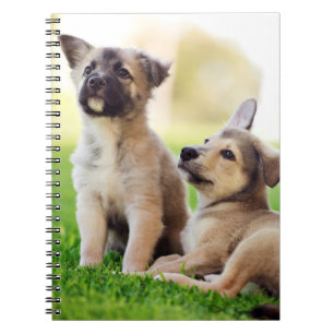 Cuaderno Dos cachorros de pastor alemanes