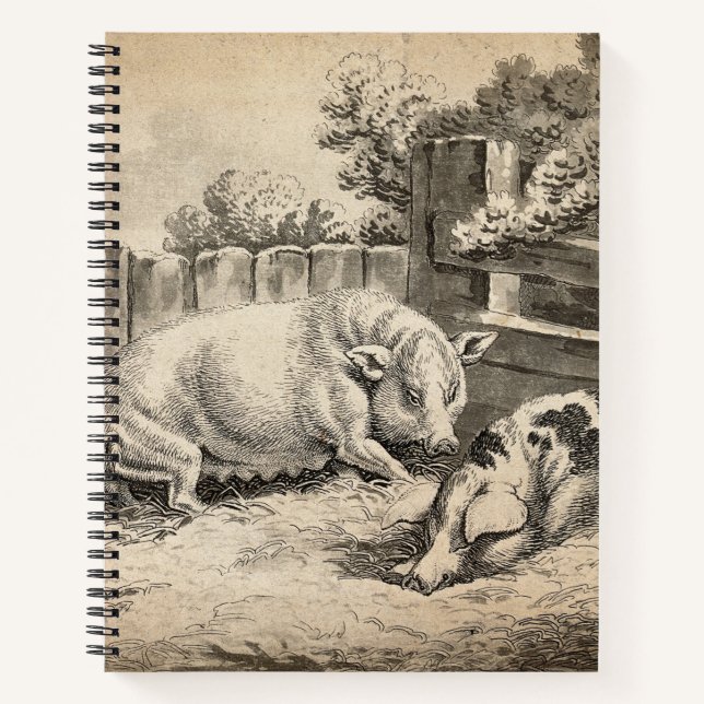 Cuaderno Dos cerdos yacen en la paja en una pluma exterior (Anverso)