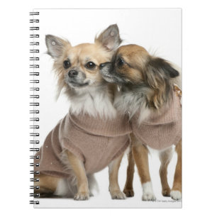 Cuaderno Dos Chihuahuas vestidos (2 años)