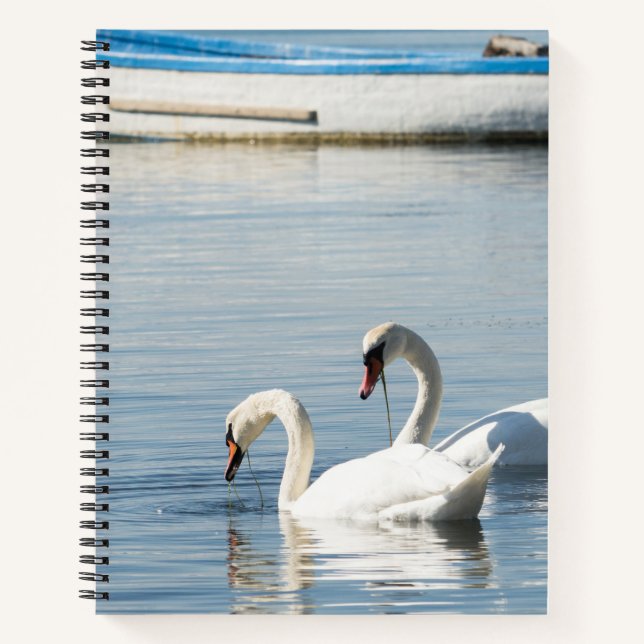 Cuaderno Dos cisnes (Anverso)