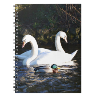 Cuaderno Dos cisnes y un pato