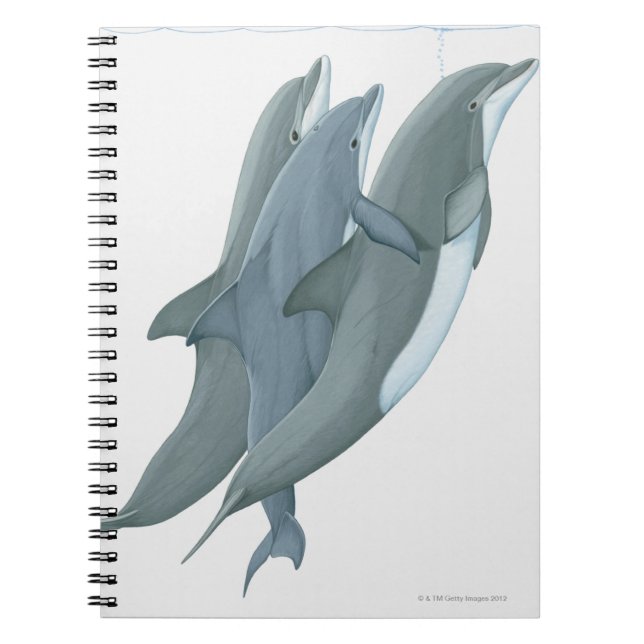 Cuaderno Dos delfines en botella (Frente)