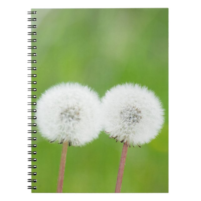 Cuaderno Dos delirios (Frente)