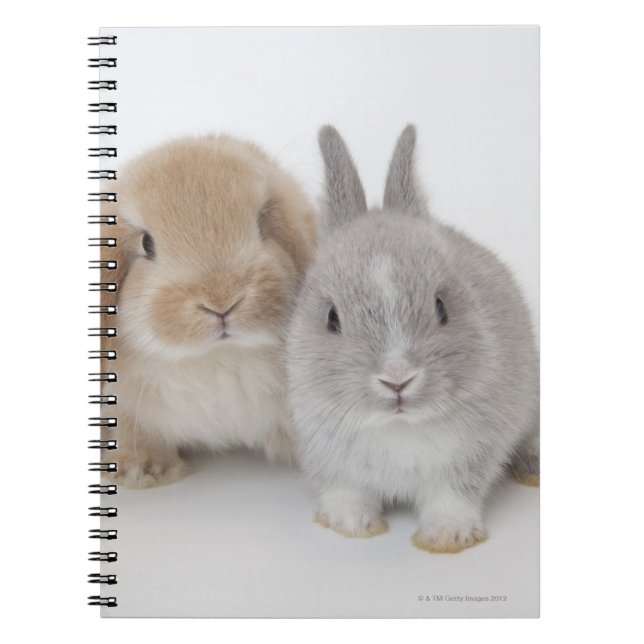 Cuaderno Dos enanos holandeses y panecillos holandeses (Frente)