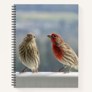 Cuaderno Dos Encuentros.