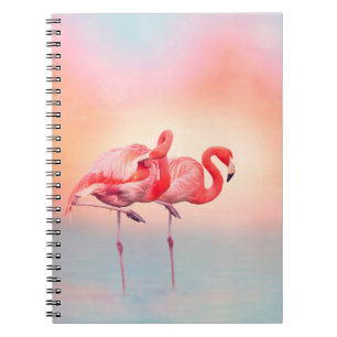 Cuaderno Dos flamencos rosados en el agua en sunsetflamingo