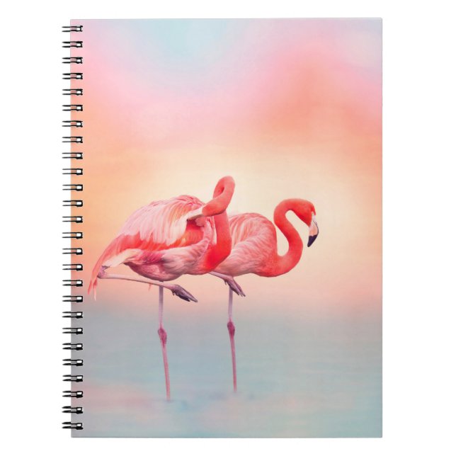 Cuaderno Dos flamencos rosados en el agua en sunsetflamingo (Frente)