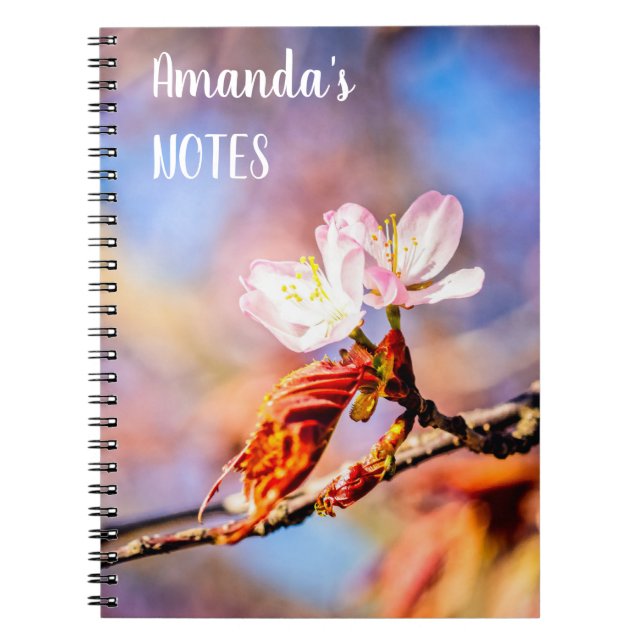 Cuaderno Dos Flores Asombrosas De Sakura. Fondo rosa y azul (Frente)