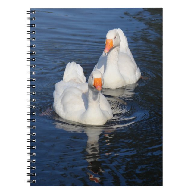 Cuaderno Dos Geese Emden II (Frente)
