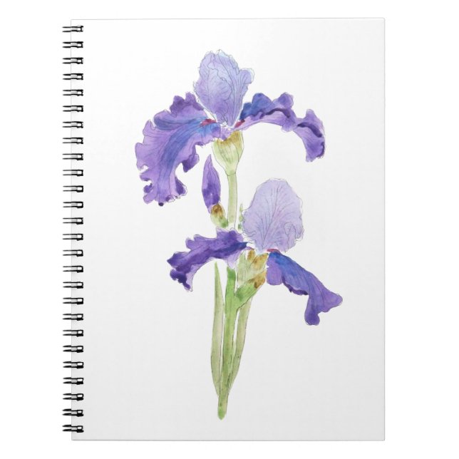 Cuaderno dos iris morado de tinta y acuarela (Frente)