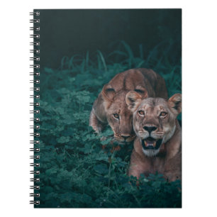 CUADERNO DOS LONES EN PLANTAS VERDES