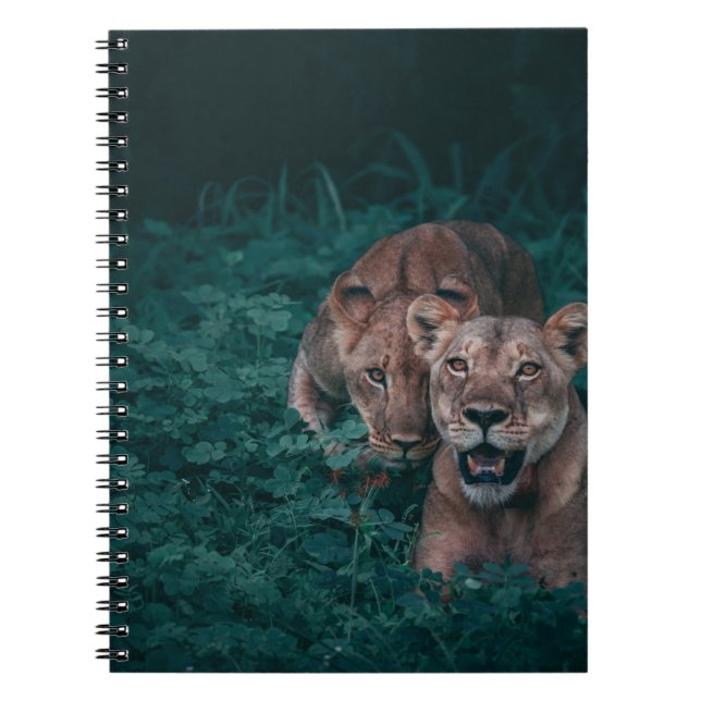 CUADERNO DOS LONES EN PLANTAS VERDES (Frente)