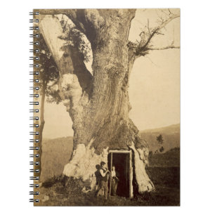 Cuaderno Dos muchachos en la entrada de su casa del árbol,