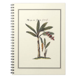 Cuaderno Dos palmeras enmarcadas en miniatura