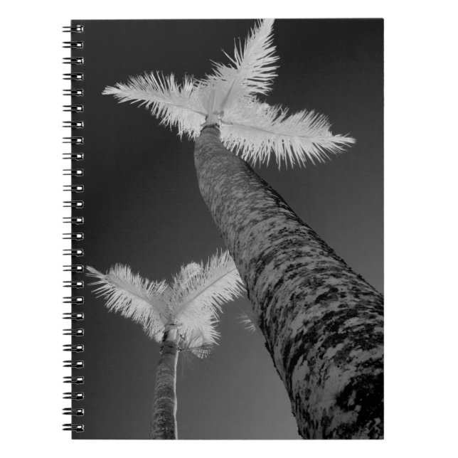 Cuaderno Dos palmeras infrarrojas. (Frente)