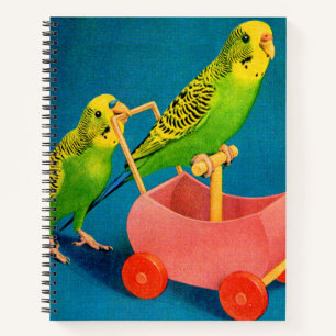Cuaderno dos parásitos