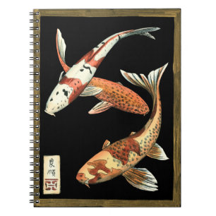 Cuaderno Dos peces de colores japoneses Koi sobre fondo neg