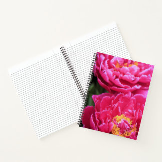 Cuaderno Dos peones de fucsia florecen con pintura
