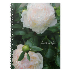 Cuaderno Dos personajes blancos