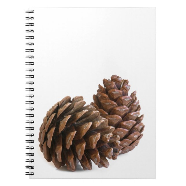 Cuaderno Dos pinecones (Frente)