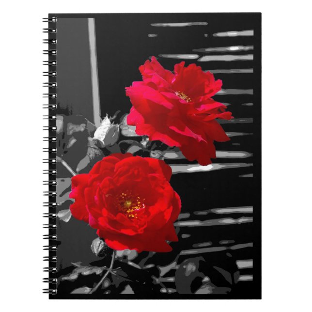 CUADERNO DOS ROSAS ROJAS (Frente)