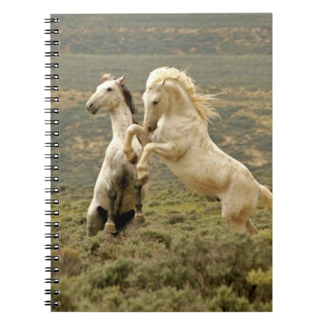 Cuaderno Dos Stallions salvajes luchan (Frente)