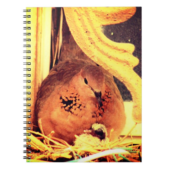 Cuaderno Doting Mama Dove (Frente)