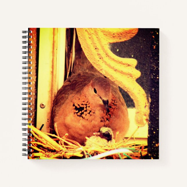 Cuaderno Doting Mama Dove (Anverso)