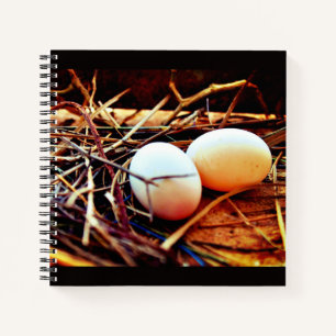 Cuaderno Dove Eggs