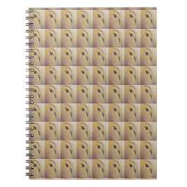 Cuaderno Dove Love