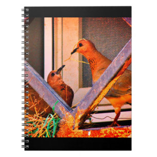 Cuaderno Dove Romance