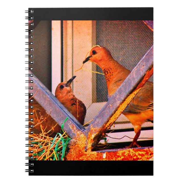 Cuaderno Dove Romance (Frente)