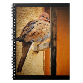 Cuaderno Dozing Dove