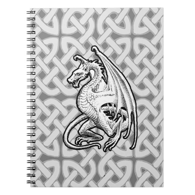 Cuaderno Dragón alado (Frente)