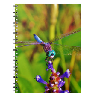 Cuaderno Dragón arcoiris verde azulado