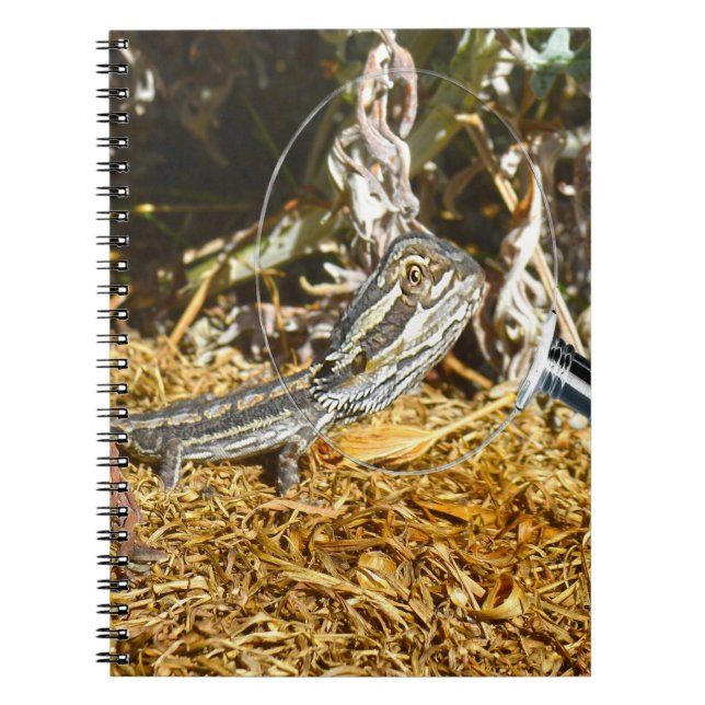 Cuaderno Dragón con barba para bebé, portátil (Frente)