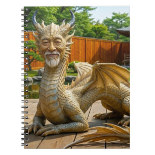 Cuaderno Dragón de Balance