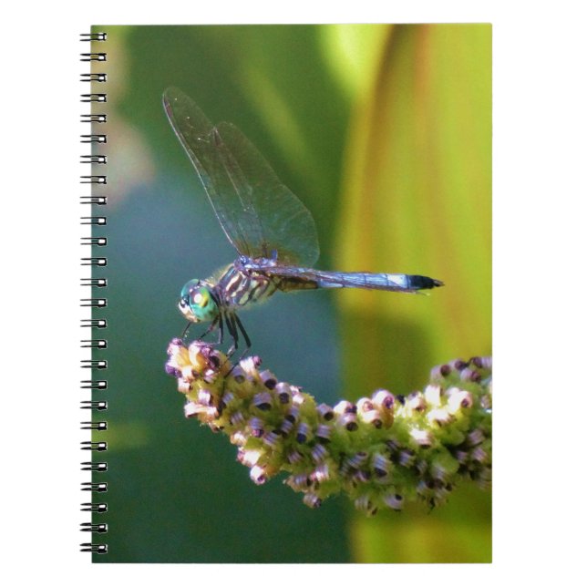 Cuaderno Dragón de ojos verde azulados (Frente)