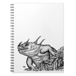 Cuaderno Dragón en la roca