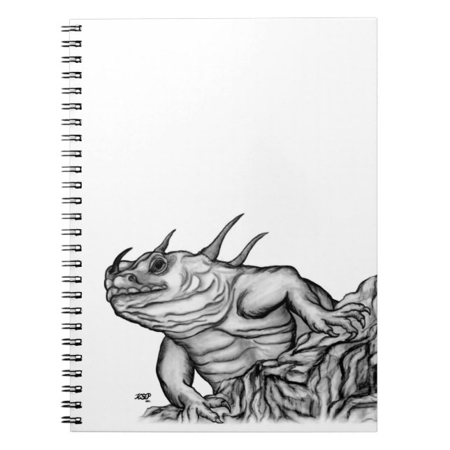Cuaderno Dragón en la roca (Frente)