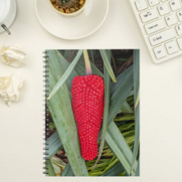 Cuaderno Dragon Lily Red Seed Head