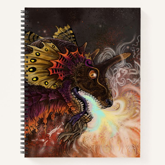 Cuaderno Dragón protector contra incendios (Anverso)