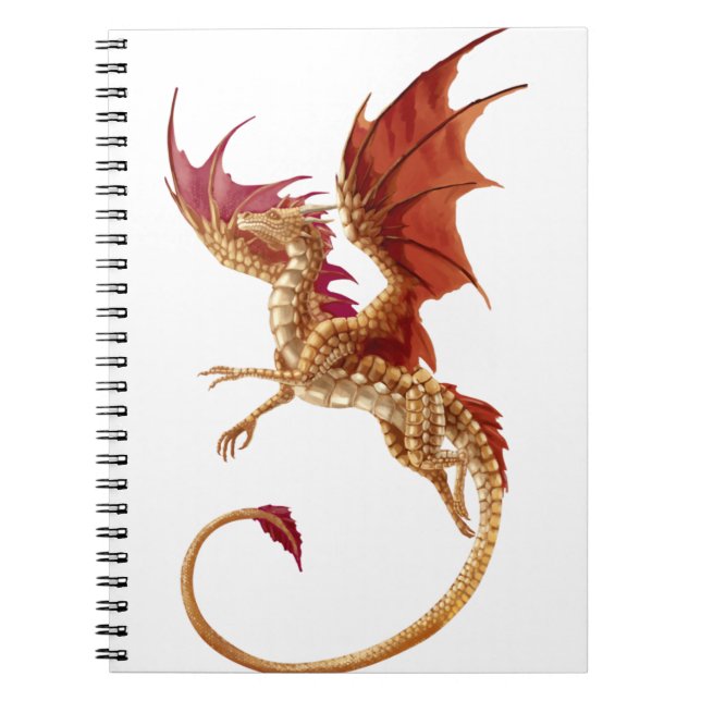 Cuaderno dragón volador (Frente)